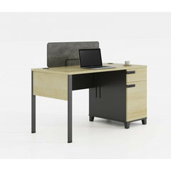 Professional Work Desk with Lockable Mobile Drawer