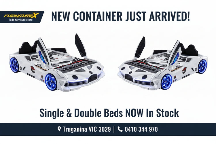 New Container Just Arrived – Car Beds Banner
